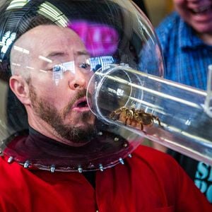 Foto Jackass Para Sempre