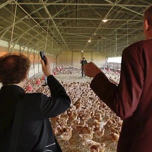 Foto Michel Cremades