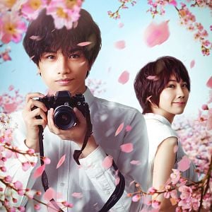 Foto Como Pétalas Que Caem