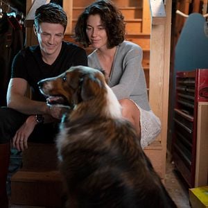 Foto O Resgate de Ruby