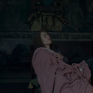 Foto Caranguejo Negro