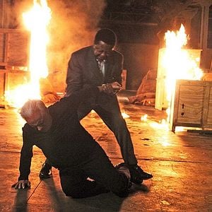 Foto Cobras e Lagartos