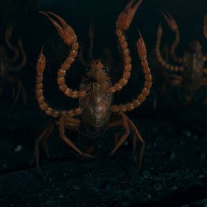 Foto Animais Fantásticos: Os Segredos de Dumbledore