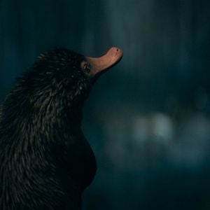 Foto Animais Fantásticos: Os Segredos de Dumbledore