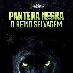 Foto Pantera Negra: O Reino Selvagem