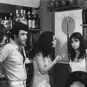 Foto Livre Para Voar