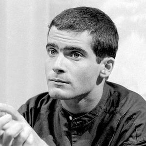 Foto Livre Para Voar