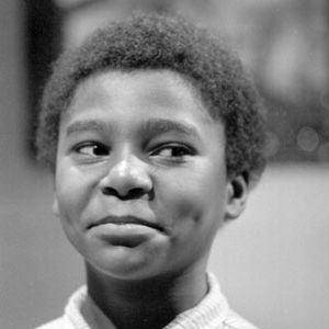 Foto Livre Para Voar