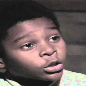 Foto Livre Para Voar