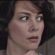 Foto Livre Para Voar