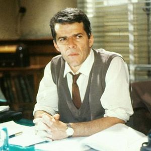 Foto Livre Para Voar