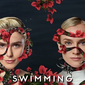 Foto Swimming With Sharks