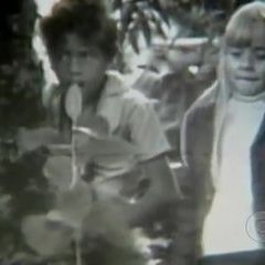 Foto Voltei Pra Você