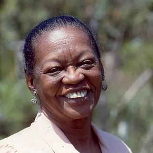 Foto Sétimo Sentido