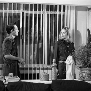 Foto Coração Alado