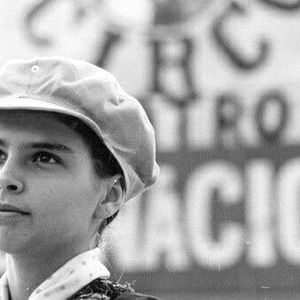 Foto À Sombra dos Laranjais