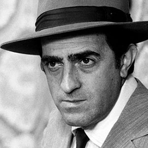 Foto À Sombra dos Laranjais