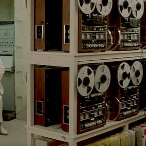 Foto O Dia do Golfinho