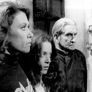 Foto Fogo Sobre Terra