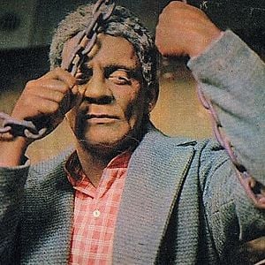 Foto A Cabana do Pai Tomás