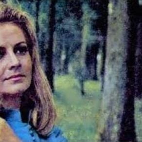 Foto O Santo Mestiço