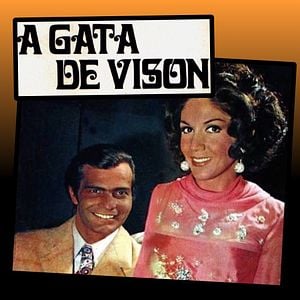 Foto A Gata de Vison