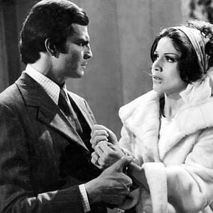 Foto A Gata de Vison