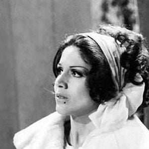 Foto A Gata de Vison