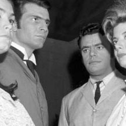 Foto A Gata de Vison