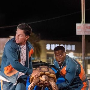 Foto De Férias da Família