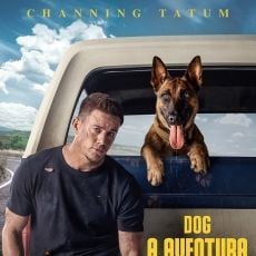 Foto Dog - A Aventura de Uma Vida