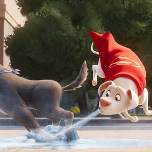 Foto DC Liga Dos Super Pets