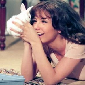 Foto Maria do Bairro