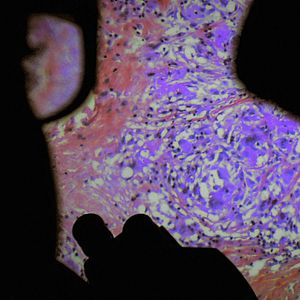 Foto De Humani Corporis Fabrica