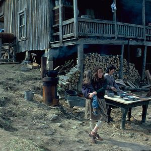 Foto O Destino Mudou Sua Vida