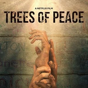 Foto Árvores da Paz