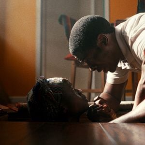 Foto Árvores da Paz