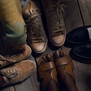 Foto Árvores da Paz