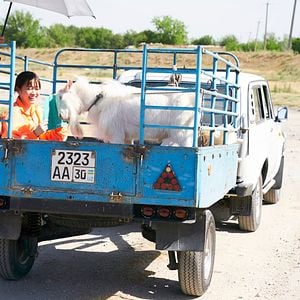 Foto O Fim da Viagem, o Começo de Tudo