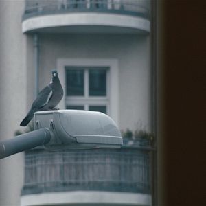 Foto Republic Of Silence