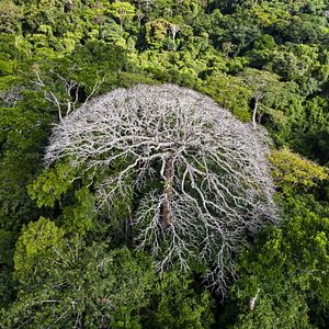 Foto Nosso Planeta, Nosso Legado