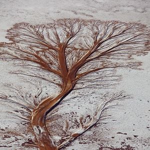 Foto Nosso Planeta, Nosso Legado