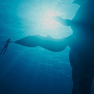 Foto Avatar: O Caminho da Água