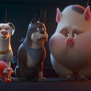 Foto DC Liga Dos Super Pets