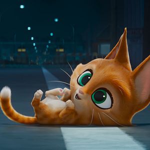 Foto DC Liga Dos Super Pets