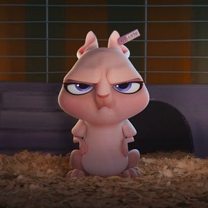 Foto DC Liga Dos Super Pets