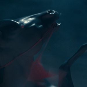 Foto Não! Não Olhe!