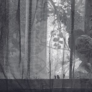 Foto Licu, a Romanian Story