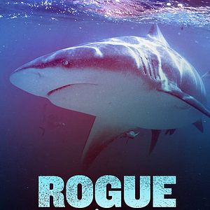 Foto Mandíbulas Sangrentas