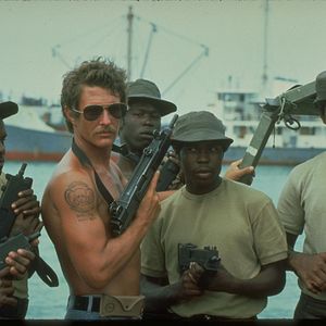 Foto Cães de Guerra